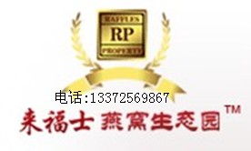 哪里能買到進(jìn)口優(yōu)質(zhì)燕窩 | 燕窩資產(chǎn)的精致管理與采購指南